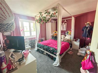 Picture 11